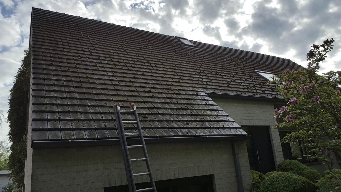 Leramische dakpannen reinigen Turnhout (vooraf)